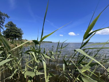 Blick zum Balmer See